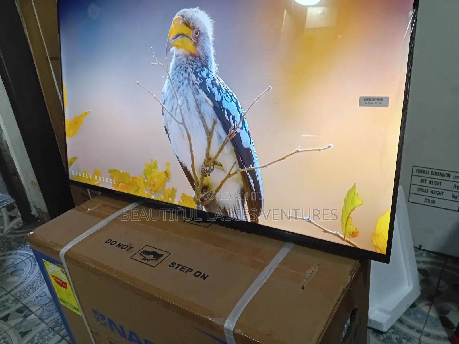TCL 43-Inch Led Tv – Perfect for Movies Sports