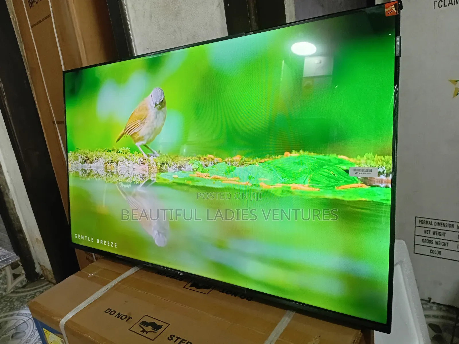 TCL 43” Smart Tv – Great Sound, Great Picture