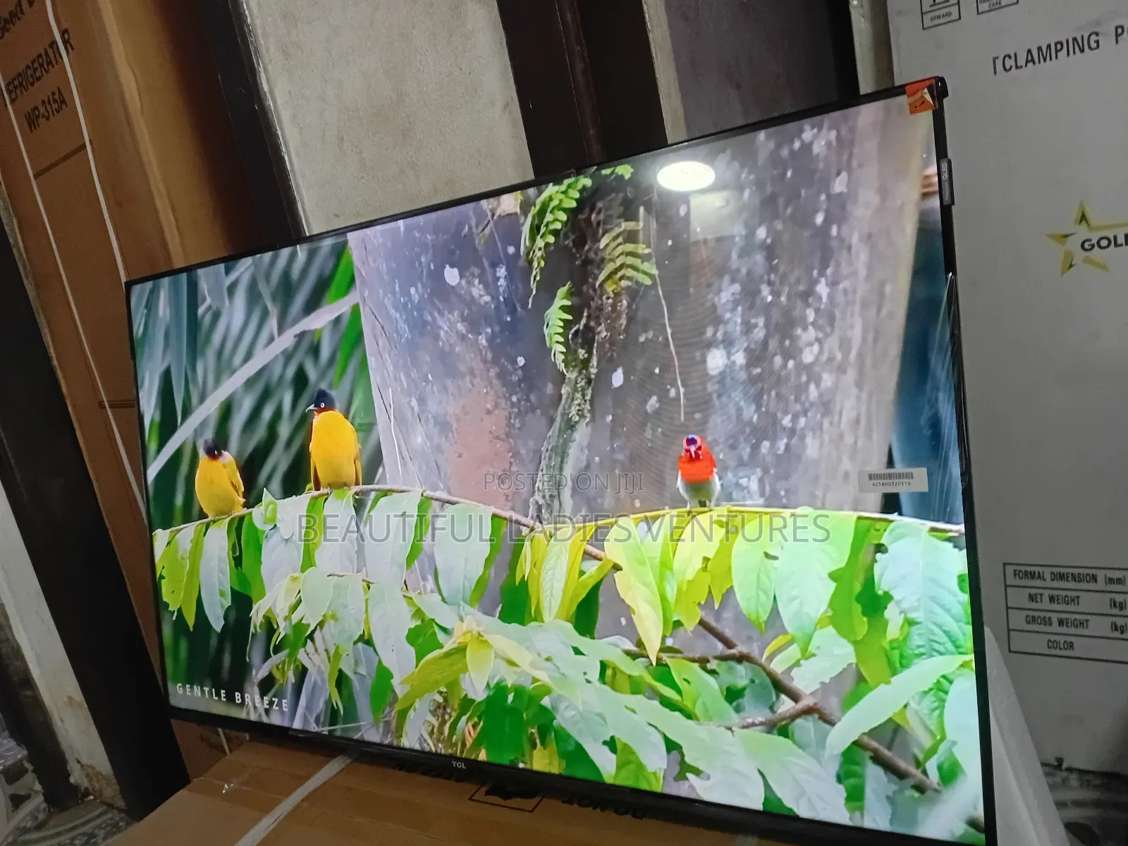 TCL 43-Inch Smart Tv – Crystal Clear Display Stunning Colors