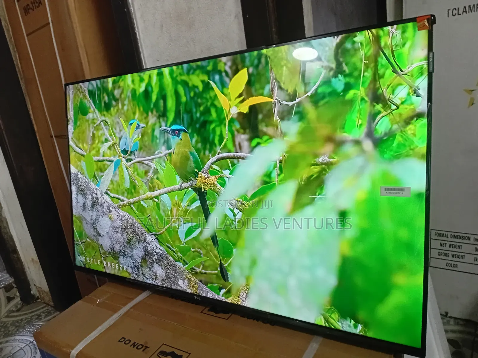 TCL 43-Inch Digital Tv – Clear Picture Powerful Sound