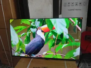 TCL 43” Full Hd Led Tv – Perfect for Home Entertainment