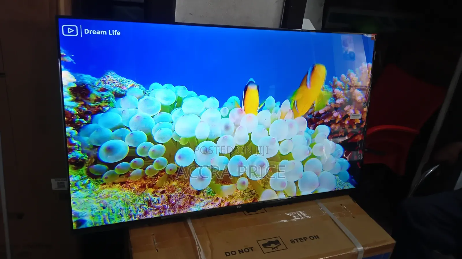 Tackle N Find Television 43inches TCL Smart Televisions