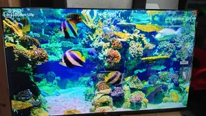 Tackle N Find Television 43inches TCL Smart Televisions