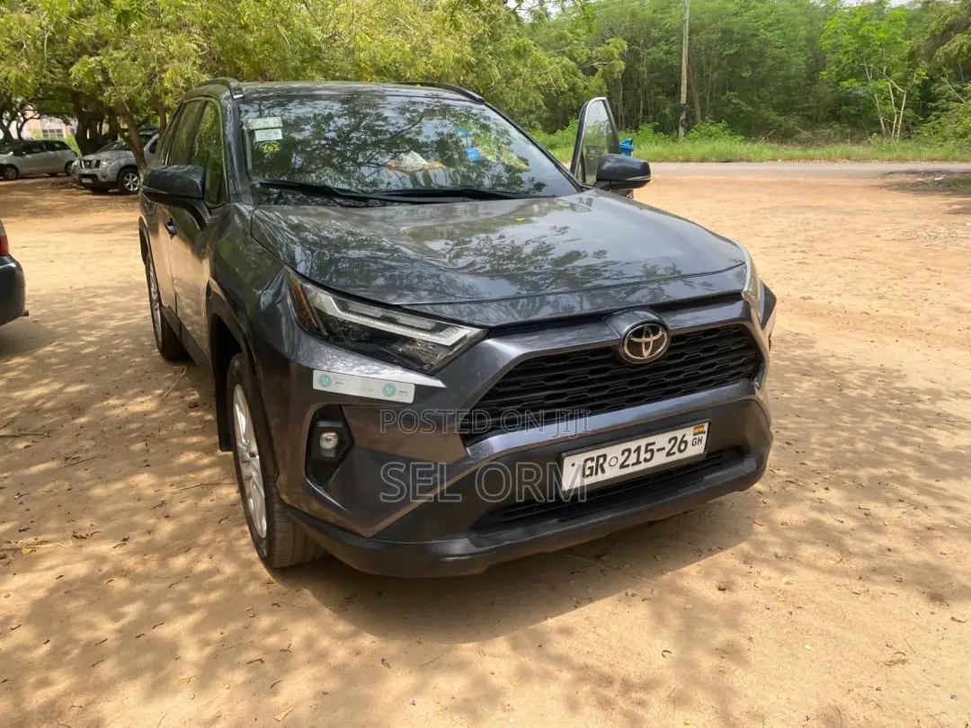 Toyota RAV4 2024 Gray