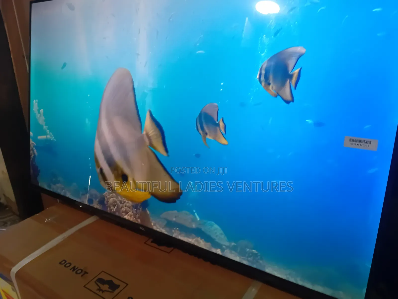 TCL 43” Android Smart Tv – Endless Entertainment Options