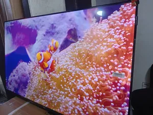 TCL 43-Inch Smart Tv – Experience Entertainment Like Never Before