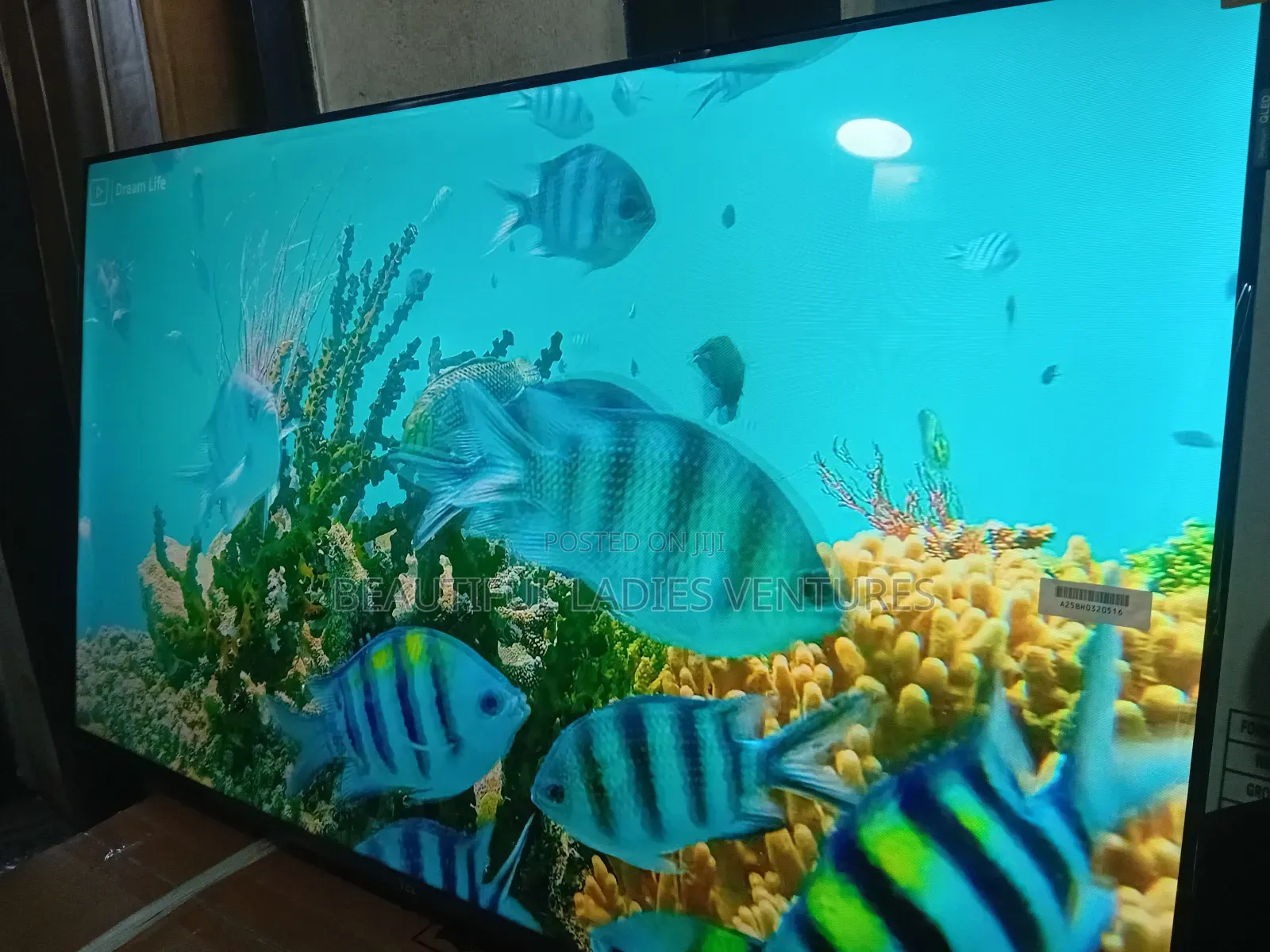 TCL 43-Inch Led Tv – Affordable Luxury Viewing