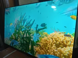 TCL 43-Inch Led Tv – Affordable Luxury Viewing