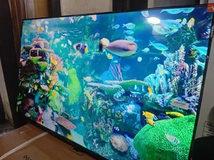 TCL 43” Digital Tv – Modern Design With Premium Display