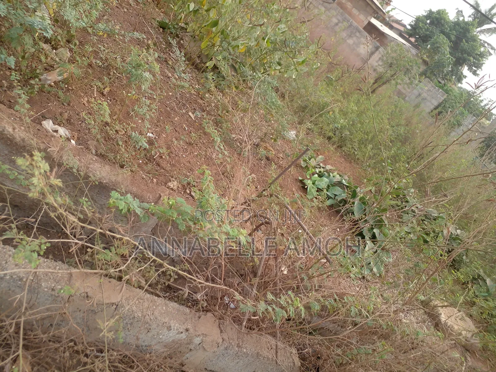 Land for Sale at Bush Road Icgc Area
