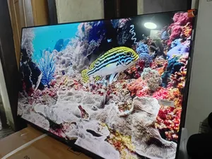 TCL 43-Inch Flat Screen Tv – Perfect for Living Rooms