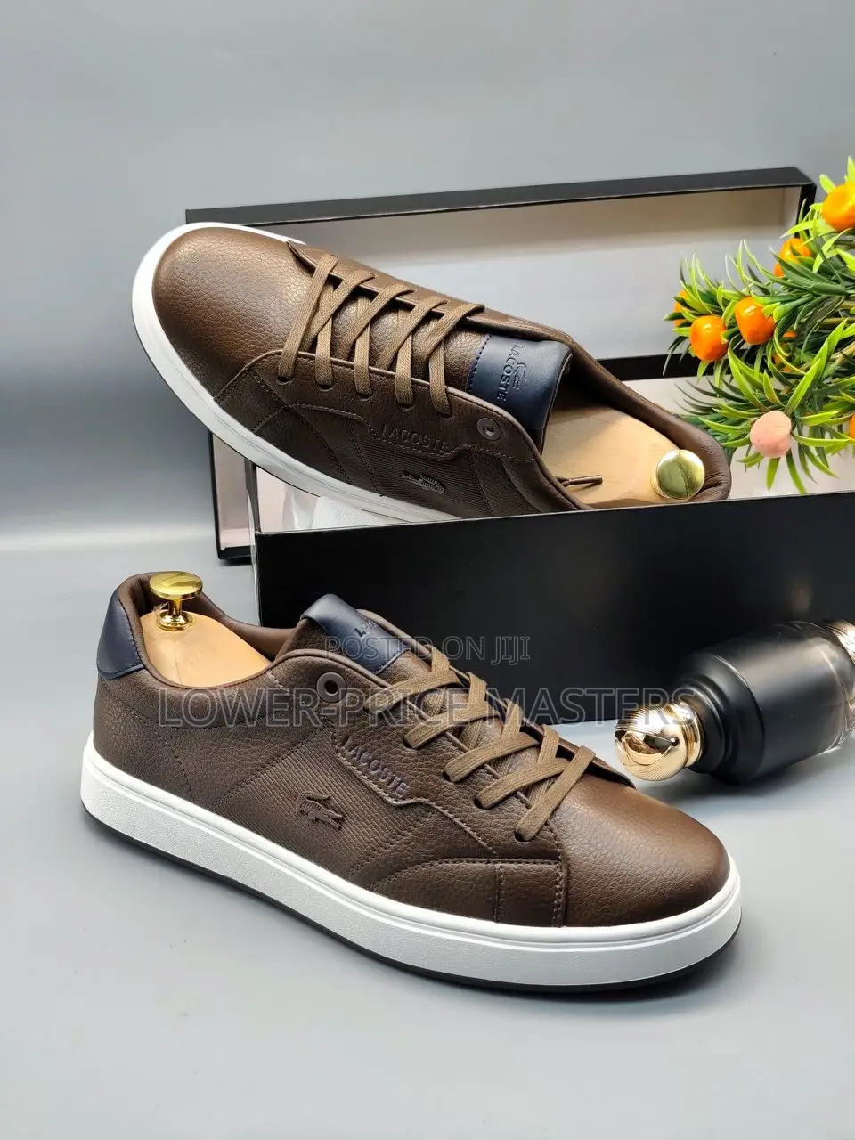 Lacoste Shoe