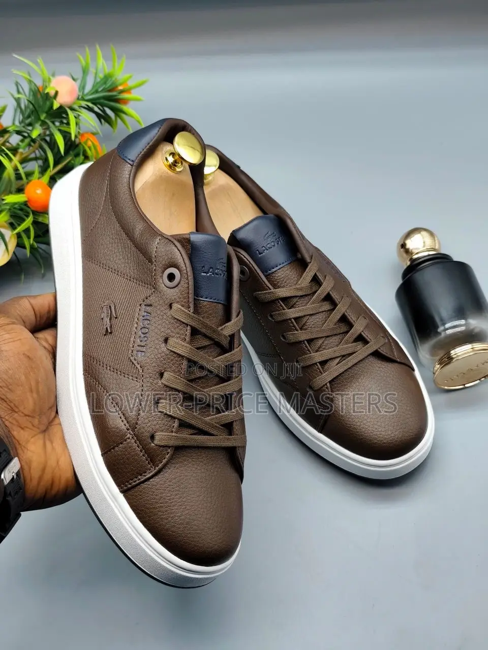 Lacoste Shoe