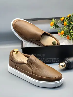 Zara Shoes
