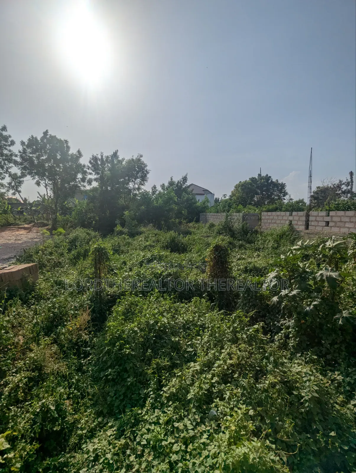 Half Plot of Land