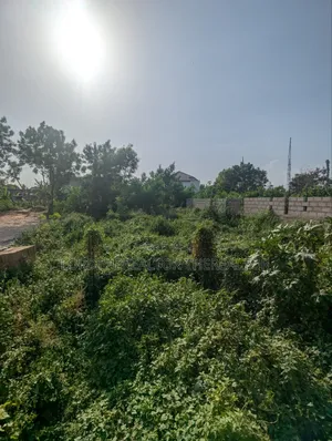 Half Plot of Land