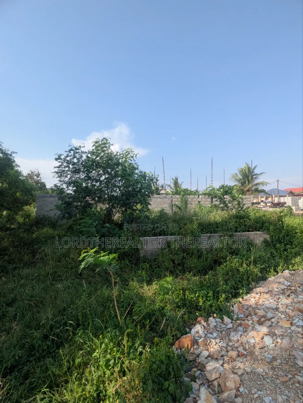 Half Plot of Land