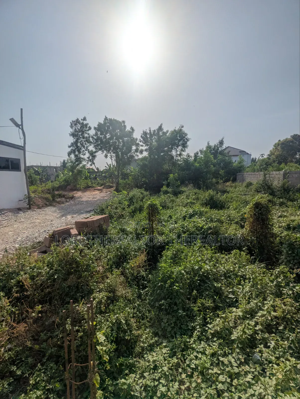 Half Plot of Land