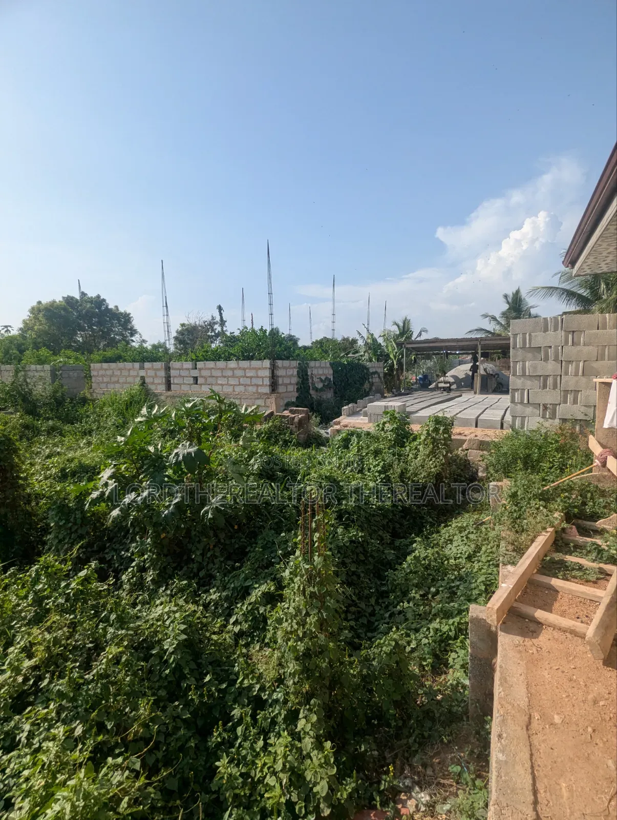 Half Plot of Land