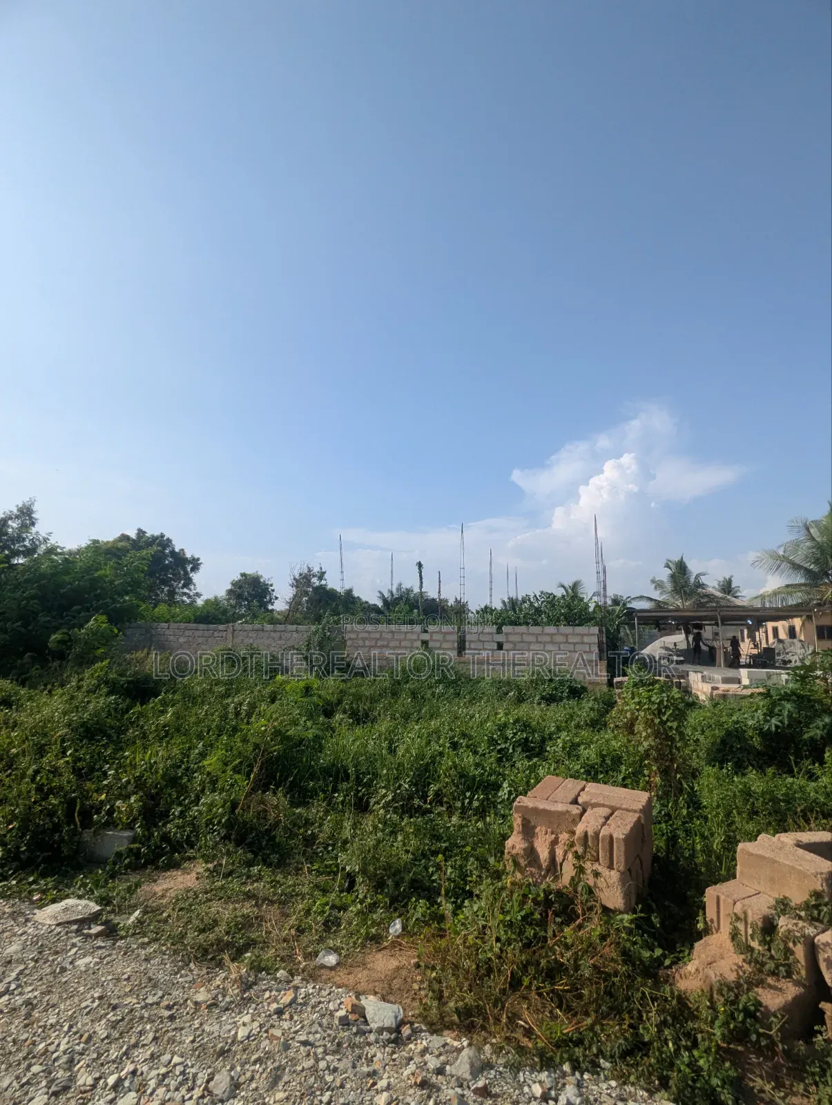 Half Plot of Land