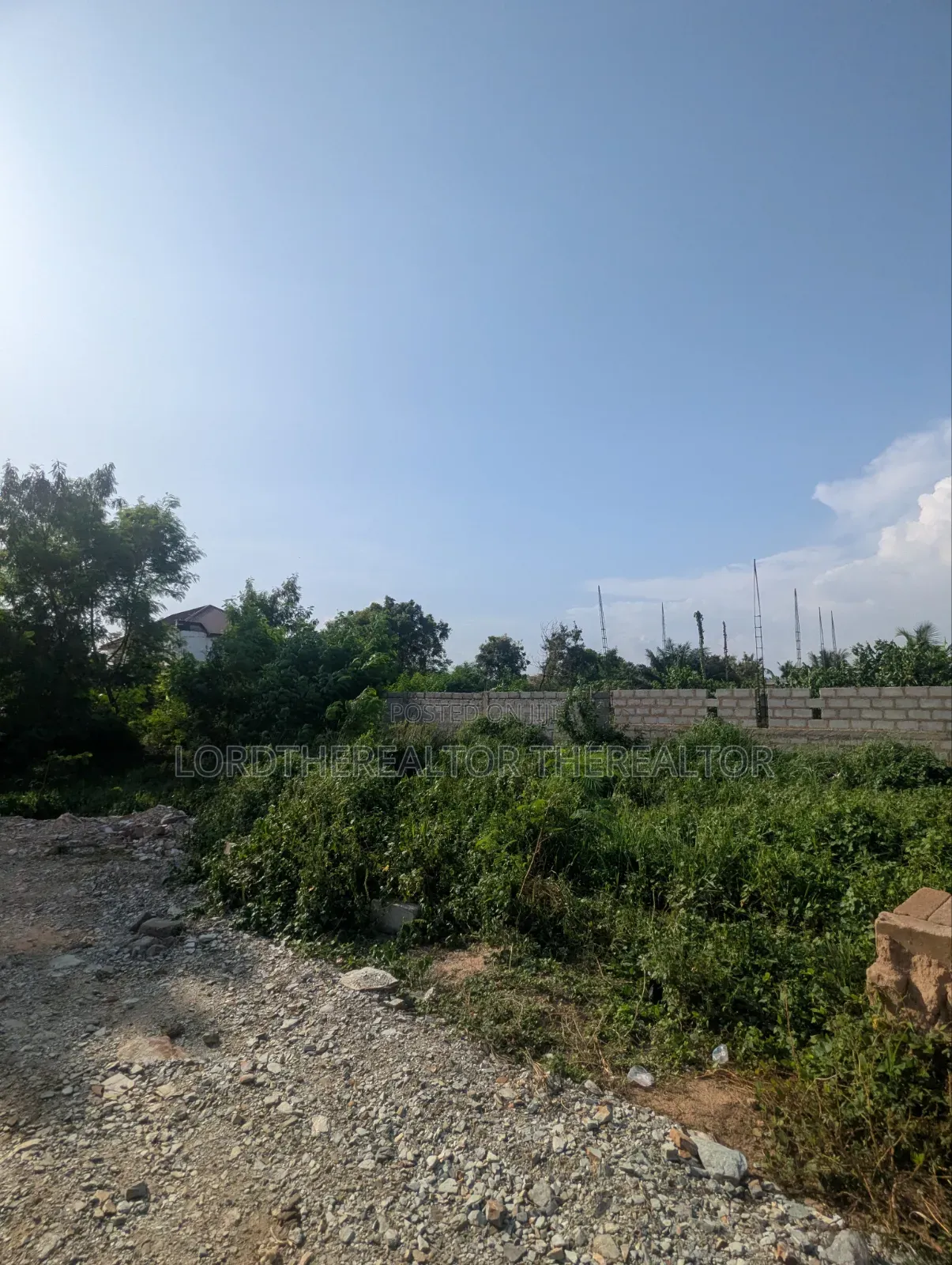 Half Plot of Land