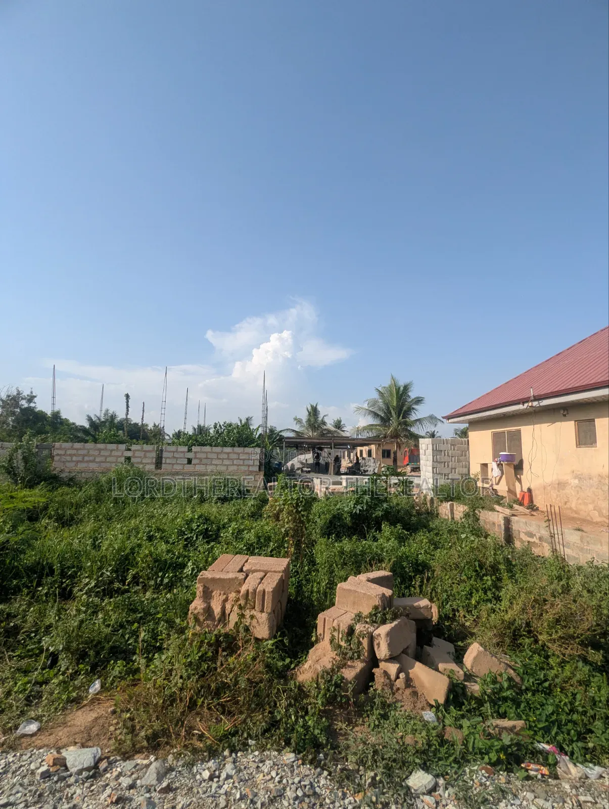 Half Plot of Land