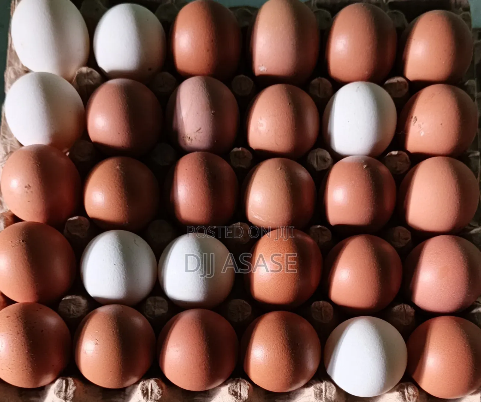 Fresh Eggs Available
