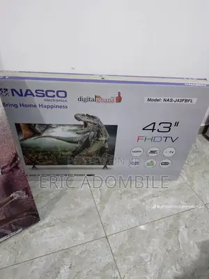 Television