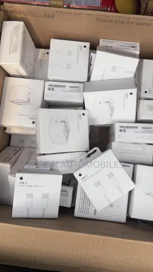 Original iPhone Charger