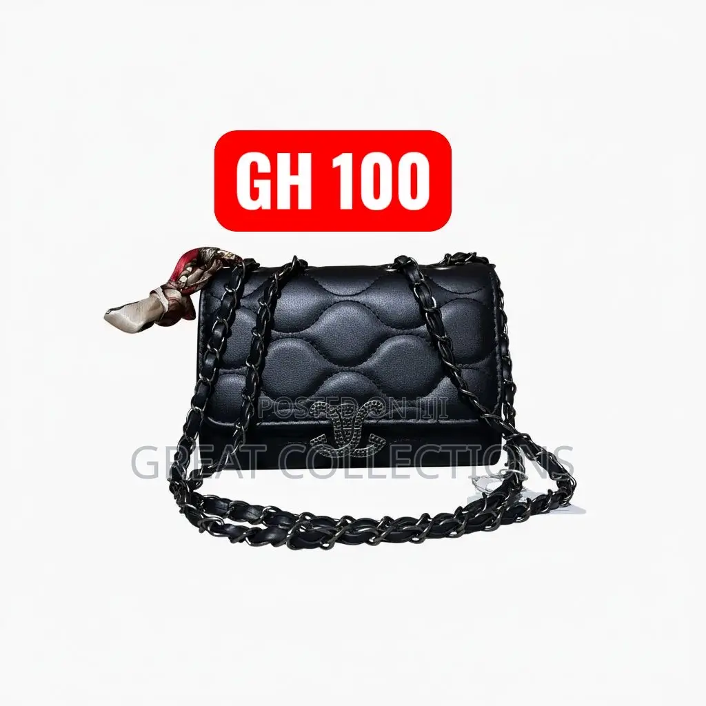 Ladies Elegant Bags