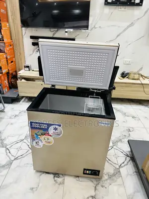Spectacular Performance Chestgood Single Door Freezer Nasco Bas-175fl