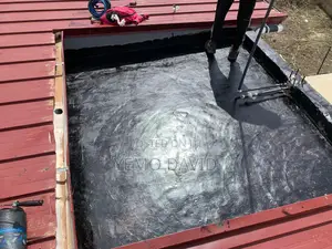 Waterproofing And Dampness Expert