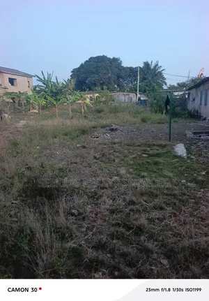 One and Half Plot of Land Freehold for Sale at Osu