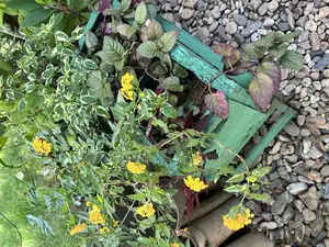 Landscaping and Garden Maintenance Services