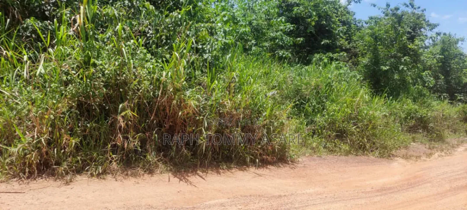 Seven Acres of Farmland a Bayerebon Around Nyinahin Bibiani Road For