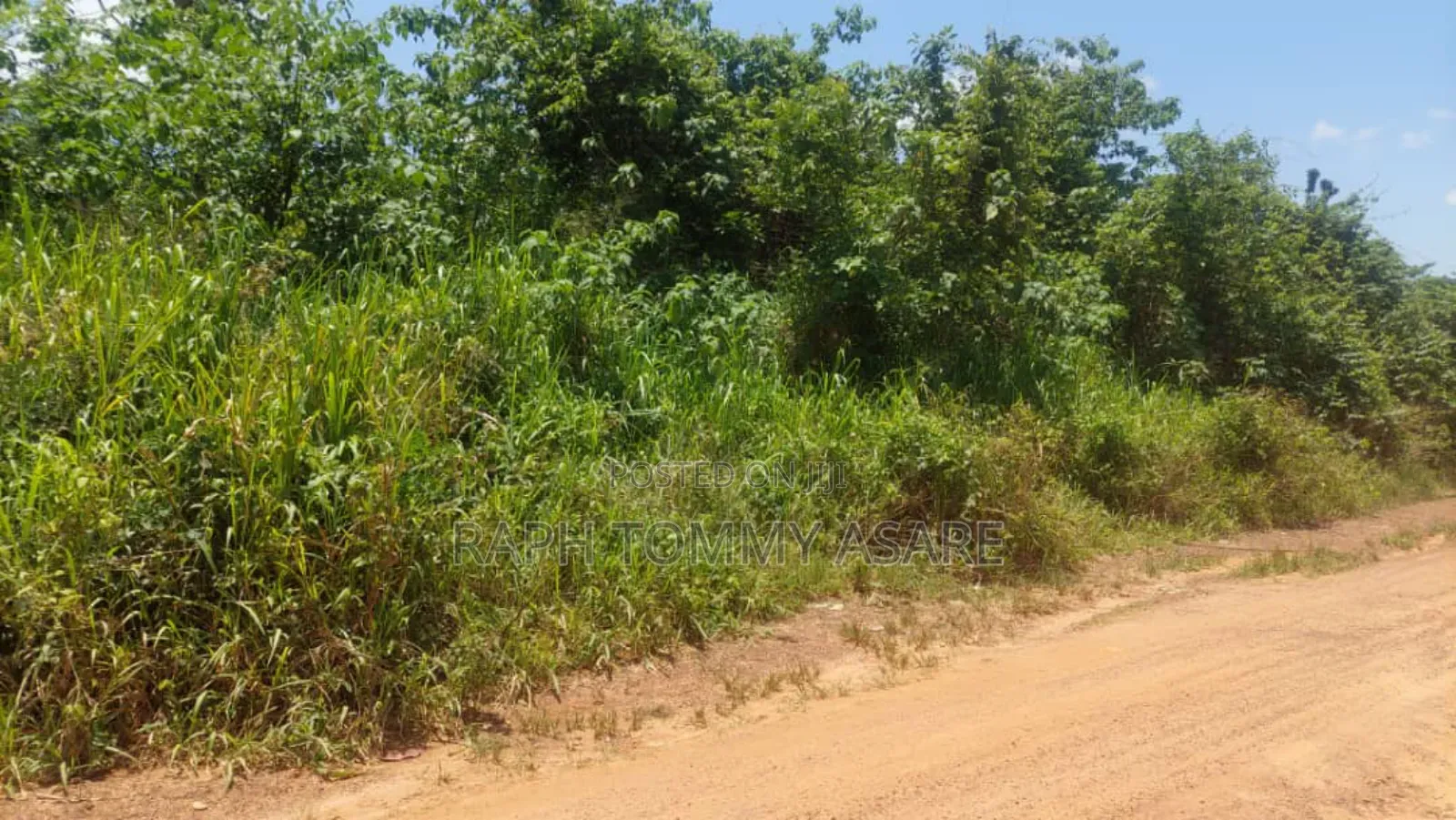 Seven Acres of Farmland a Bayerebon Around Nyinahin Bibiani Road For