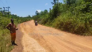 Seven Acres of Farmland a Bayerebon Around Nyinahin Bibiani Road For