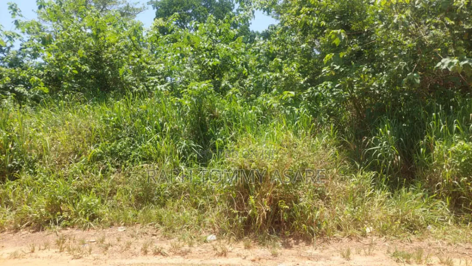 Seven Acres of Farmland a Bayerebon Around Nyinahin Bibiani Road For