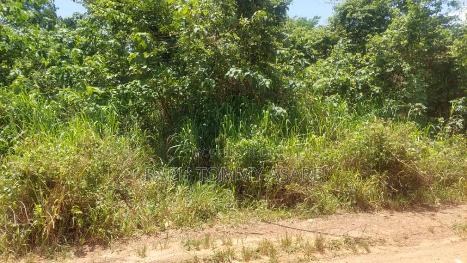 Seven Acres of Farmland a Bayerebon Around Nyinahin Bibiani Road For
