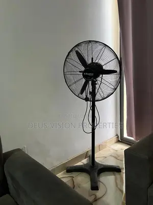Standing Fan