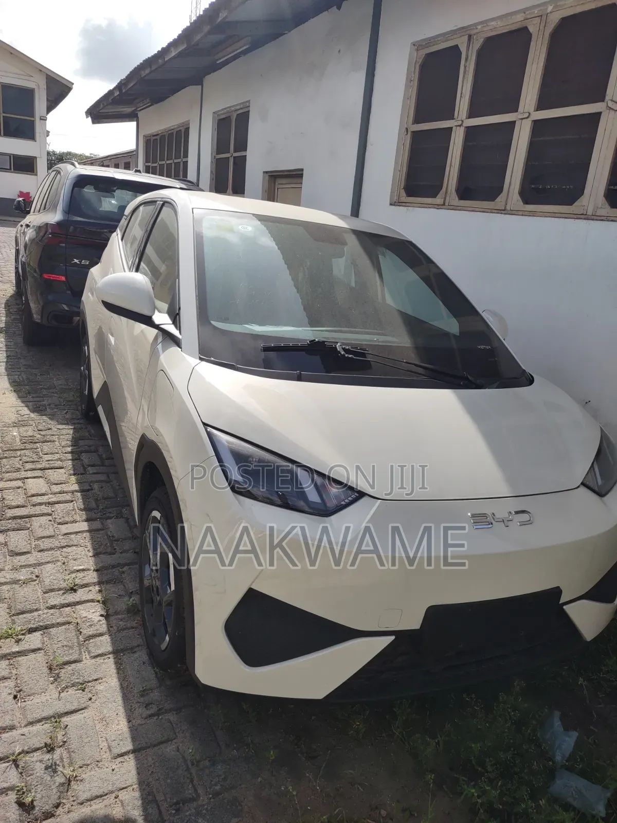 New BYD Seagull 2025 White