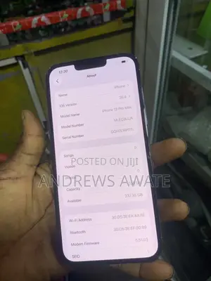 Apple iPhone 13 Pro Max 256 GB Blue