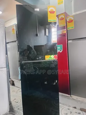 Black 243l Elegant Two Door Fridge.