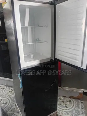 Black 243l Luxury Beauty Home Appliance Fridge.