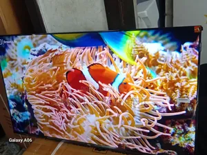 Enjoy Endless Entertainment With TCL 43” Smart Tv