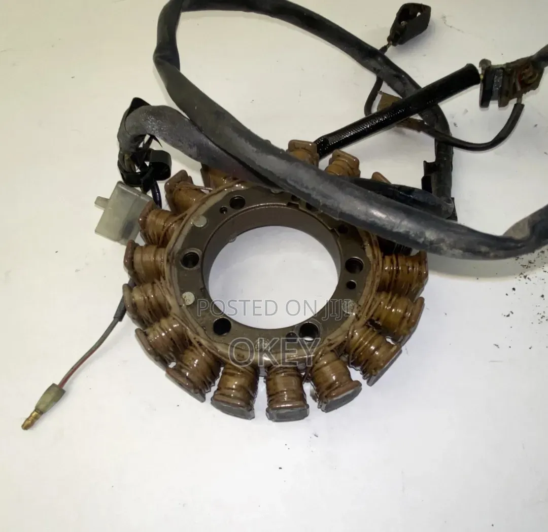 Honda Sh 300cc Magnet Coil