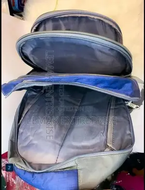 School Bag / Backpack Stylish Blues Grey Color