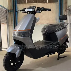 New Bomba 2025 Green