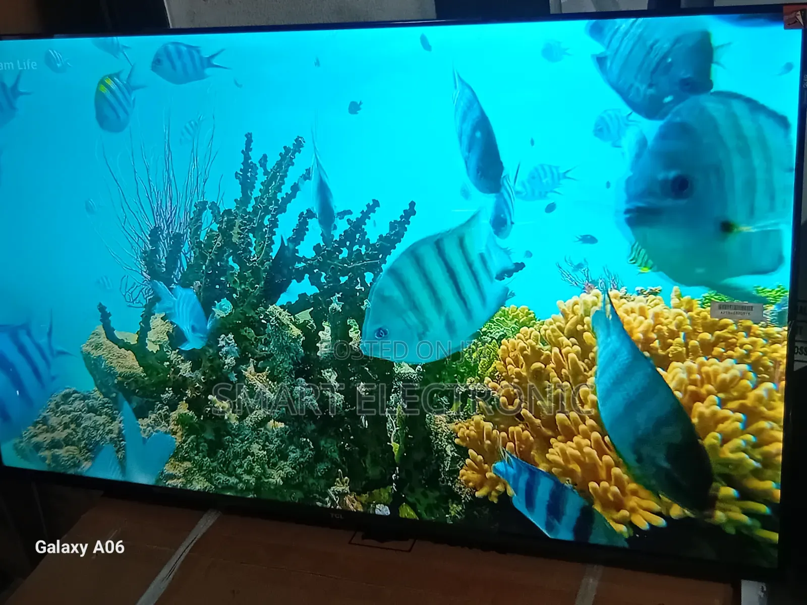 TCL 43” Led Smart Tv – Quality You Can Trust