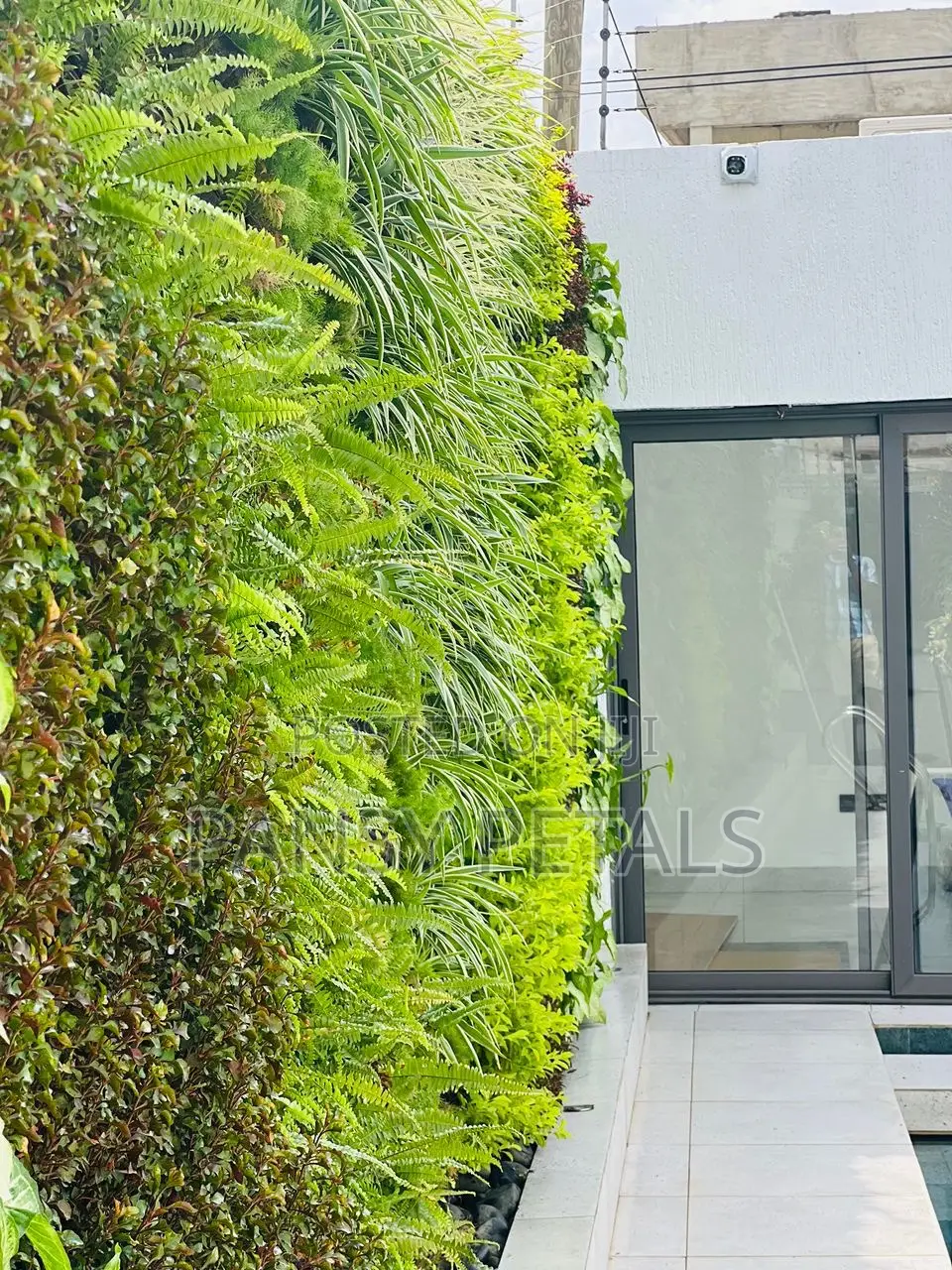 Greenwall/Vertical Garden